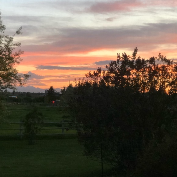 Meet your Posher, Jennifer - Picture 3 of 6